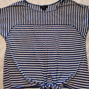 Striped nautical Pinstripe Blue White Metaphor Blouse